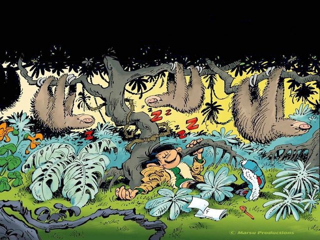 http://www.desillusions.fr/wp-content/uploads/2012/06/Gaston-Lagaffe-et-les-paresseux.jpg